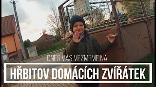 Hřbitov domácích zvířátek Zbůch - Honzík Kapczi