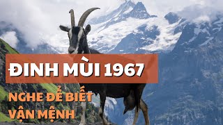 ĐINH MÙI 1967 NGHE ĐỂ BIẾT VẬN MỆNH TÍNH CÁCH SỰ NGHIỆP