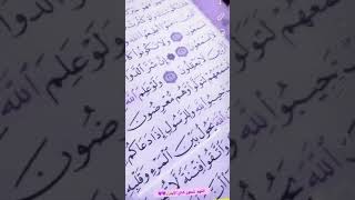 والله يحول بين المرء وقلبه😍❤️حالات واتس اب قران ستوريات دينيه بدون حقوق 👍😍