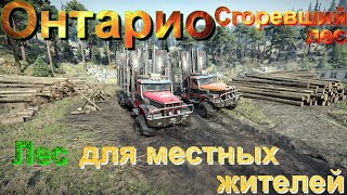 🔥👨‍🚒🧯🌳ОНТАРИО🌲🧯👨‍🚒🔥СГОРЕВШИЙ🔥🌲ЛЕС🌳🌲ЛЕС🪵ДЛЯ МЕСТНЫХ ЖИТЕЛЕЙ👨‍👩‍👧‍👦ЭТО НУЖНО ЗНАТЬ🚦ПОДП ❗ПОСТ👍НАЖМИТЕ🔔