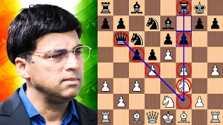 Anand crushes Shirov's French Defense in 28 moves