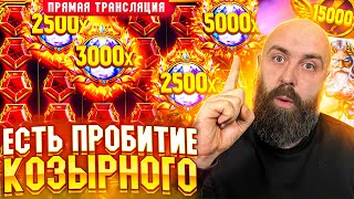 Хозяин ЛУТАЕТ МАКСВИН в прямом эфире! заносы недели betkat