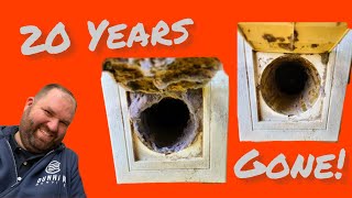 Amazing dryer vent cleaning!