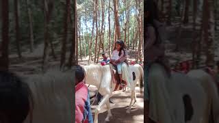 Kodaikanal trip in horse ride