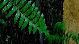 Rain Sounds and Water Dripping at Night - 1 Hour Relaxation and Sleep Aid