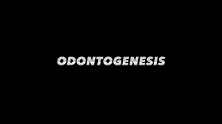 COMING SOON ODONTOGENESIS 2023