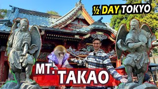 Mt Takao - The Perfect Day Trip From Tokyo (+Autumn Leaves)