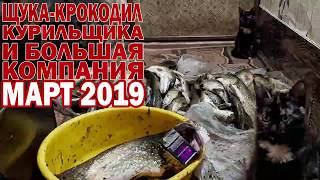 Ловля щуки весной 2019. Астрахань. Много жадной щуки.