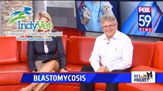 Blastomycosis