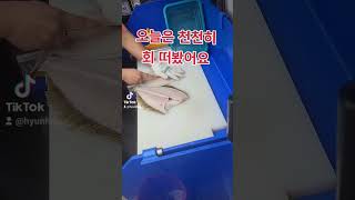 추석엔  광어회 먹어야쥬