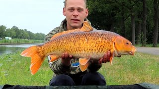 STEUR op een plas en KOI op KANAAL