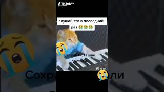 Симба старший😭😭😭😭😭😭😭😭😭😭Спи сладких снов😣😖😖