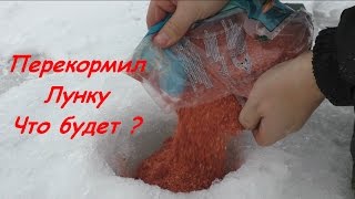 Что будет? Если перекормить рыбу на рыбалке, зимой.