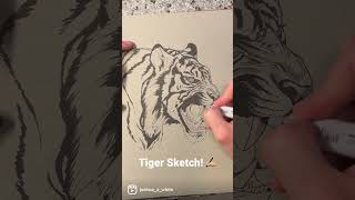 INCREDIBLE Tiger Drawing! #shorts