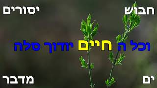 מי הם החייבים לברך ברכת הגומל? -  שתי הלכות - הרב כחלון