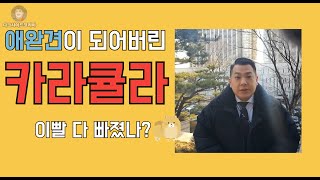 카라큘라 '장사의신' 고발. 산송장이 되어버린 카라큘라의 기이한 행보.