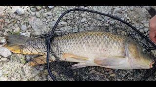 2018 Fanshawe Conservation, London, Ontario - Carp Fishing