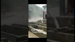 Madain Bazar Hotel Collapsed #nowshehra #swatflood2022 #2022flood #floods #kalamflood #floods