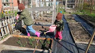 Будни огородницы №2🌱🌹. Гортензия Ванила Фрайз из Вайлдберриз🥰. Сделали песочницу и др.