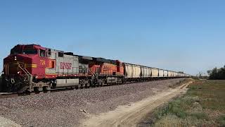 BNSF Bakersfield Sub Railfanning! ~ Feat. Warbonnets, H1, Unusual Amtrak, Horn Shows, and MORE!