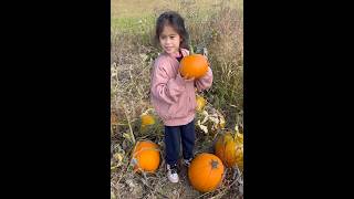 When you passed by a pumpkin farm with your one 🤭🎃