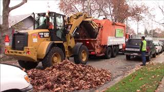 Roseville Leaf Collection Part 1