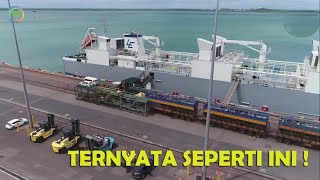 Melihat Proses Pengiriman Sapi Dari Australia Ke Indonesia Menggunakan Kapal Super Besar