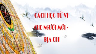 BÀI 94. CÁCH HỌC TỬ VI CHO NGƯỜI MỚI BẮT ĐẦU - ĐỊA CHI