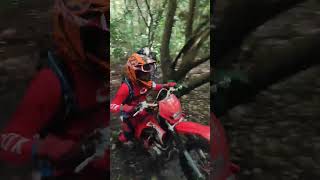 #braap #trilheirosdobrasil #2rodas #shortvideo #offroad #crf230 #viral #roia