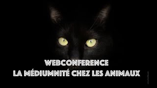 Webinair Médiumnité chez les animaux