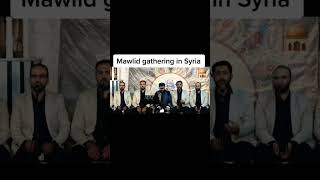 Mawlid In Syria 🇸🇾 #shorts #dawah #viral #mawlid #syria