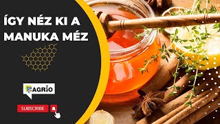 Így néz ki a Manuka méz - agrio.hu