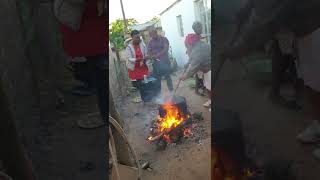 Beef on potjie