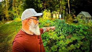 Watch before you plant this changes the garden