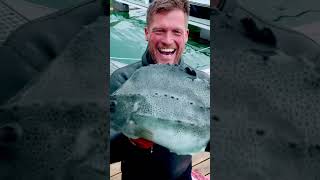 What is inside the stomach of a 100kg Halibut Fish?