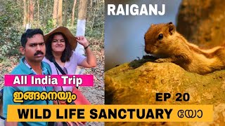 Raiganj Dinajpur Wild life - West Bengal All India Trip Tata Nano Car Experience Birds Sanctuary