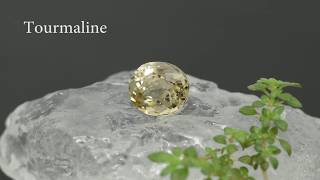 Untreated Canary Yellow Tourmaline - GemSelect Video Review: