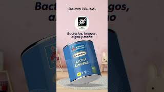 Excello Látex Lavable ¡Paredes siempre limpias!  #sherwinwilliams