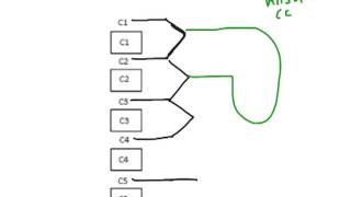 How to Biology & Anatomy: Cervical plexus nerves