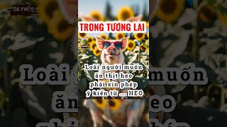 Có thể? (#007): Tương lai, muốn ăn thịt heo phải xin phép ý kiến từ ...HEO. #thongtinthuvi