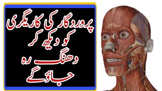 پروردگار کی کاریگری کو دیکھ کر دھنگ رہ جاؤگے| اس طرح نظام کون بناسکتا ہے