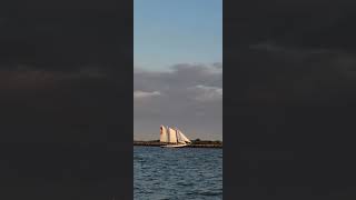 Schooner Freedom, St. Augustine (Шхуна Свободы )