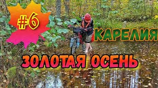 #6 Велопоход.Карелия.Золотая осень 🍁🚴‍♀️🏕️🍂4.10.24