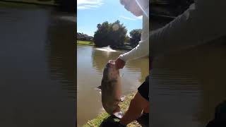 KIDSRod CATCHES MONSTER Fish Out Of Tiny MUD POND…