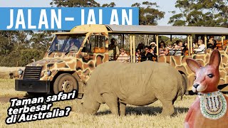 Taman Safari Terbesar Di Australia? | Werribee Open Range Zoo