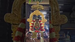 காஞ்சி ஸ்ரீ பெருந்தேவி தாயார் வெள்ளிக்கிழமை புறப்பாடு. #kanchi