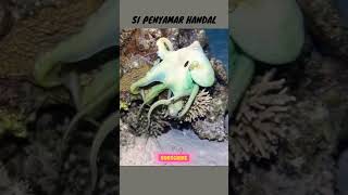 Si Penyamar Handal #experiment #explore #funny #shorts #science