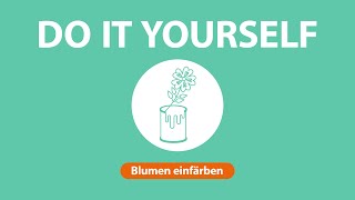 Lifehack: Blumen einfärben