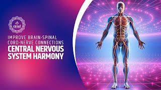 Central Nervous System Harmony: Improve Brain-Spinal Cord-Nerve Connections | Binaural Beats