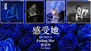 [ENG Sub + Pinyin]《感受她》Feeling Her (蔡徐坤《迷》专辑 Cai Xukun "Unknown" Album) Lyrics Video 歌词